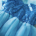  Princess Costume | Halloween Costume| Character Dress | Princess Dress | Dress Up | Costume