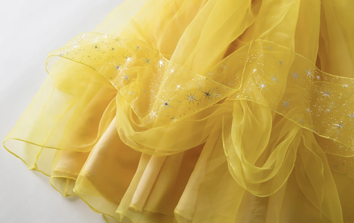 Princess Costume | Halloween Costume| Character Dress | Princess Dress | Dress Up | Costume