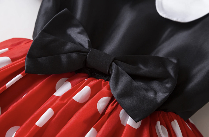 Princess Costume | Halloween Costume| Character Dress | Princess Dress | Dress Up | Costume
