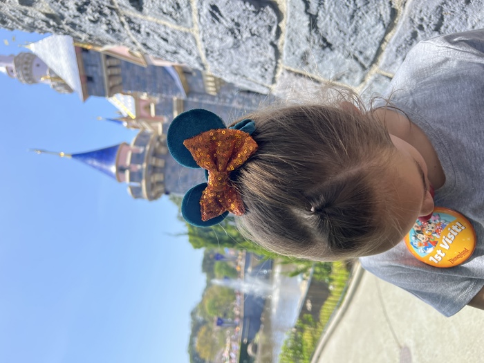 Mouse Ears | Multiple Styles | Theme Park Merch | Character Ears | Scrunchies | Mouse Ears | Theme Park Ears