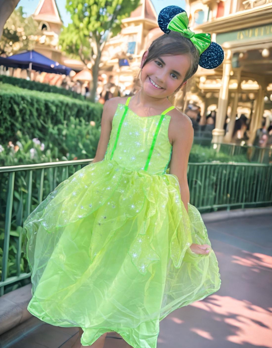 Princess Costume | Halloween Costume| Character Dress | Princess Dress | Dress Up | Costume