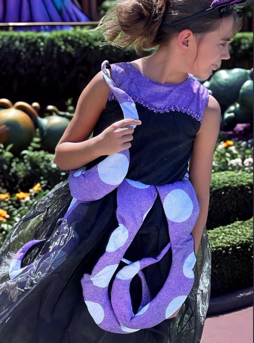 Princess Costume | Halloween Costume| Character Dress | Princess Dress | Dress Up | Costume
