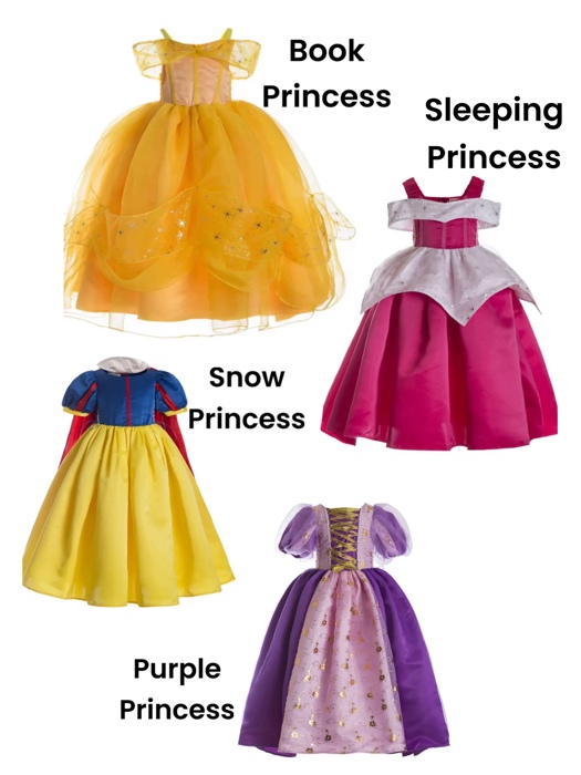 Princess Costume | Halloween Costume| Character Dress | Princess Dress | Dress Up | Costume