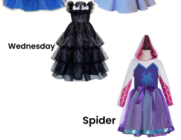 Princess Costume | Halloween Costume| Character Dress | Princess Dress | Dress Up | Costume