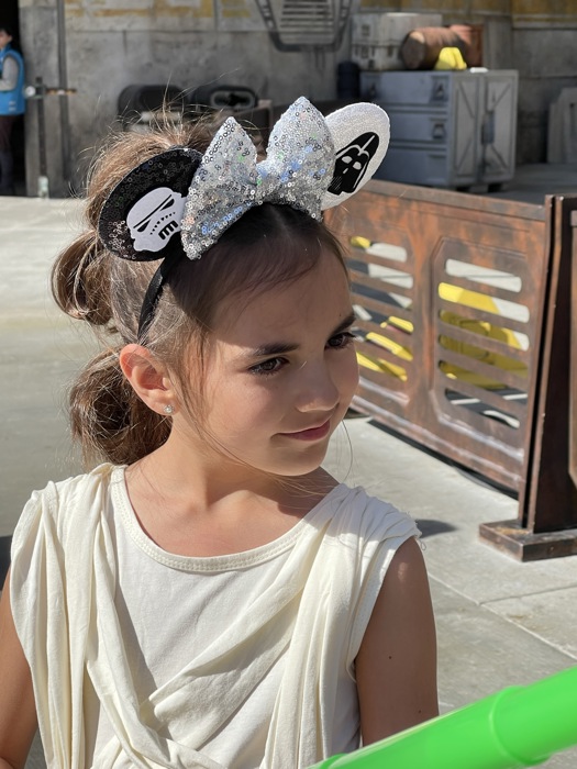 Mouse Ears | Multiple Styles | Theme Park Merch | Character Ears Headband | Mouse Ears Dress Up Theme Park Accessories