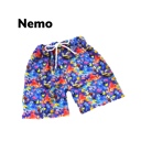  Boys Swimshorts | Mutliple Styles| Swimsuit | Boy Swim |Character Swimsuit |Graphic Swimwear| Theme Park Merch