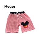  Boys Swimshorts | Mutliple Styles| Swimsuit | Boy Swim |Character Swimsuit |Graphic Swimwear| Theme Park Merch
