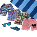  Boys Swimshorts | Mutliple Styles| Swimsuit | Boy Swim |Character Swimsuit |Graphic Swimwear| Theme Park Merch