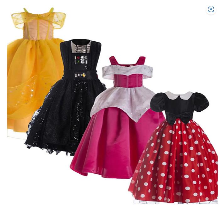 Princess Costume | Halloween Costume| Character Dress | Princess Dress | Dress Up | Costume