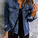 Small Distressed Raw Hem Buttons Denim Jacket