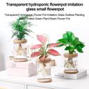  Mini Hydroponic Flower Pot