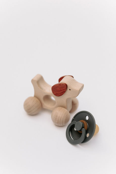 Wooden toy on wheels