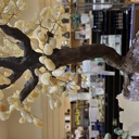  Citrine Crystal Tree  18" Tall