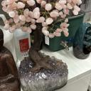  Rose Quartz Crystal Tree  18" Tall